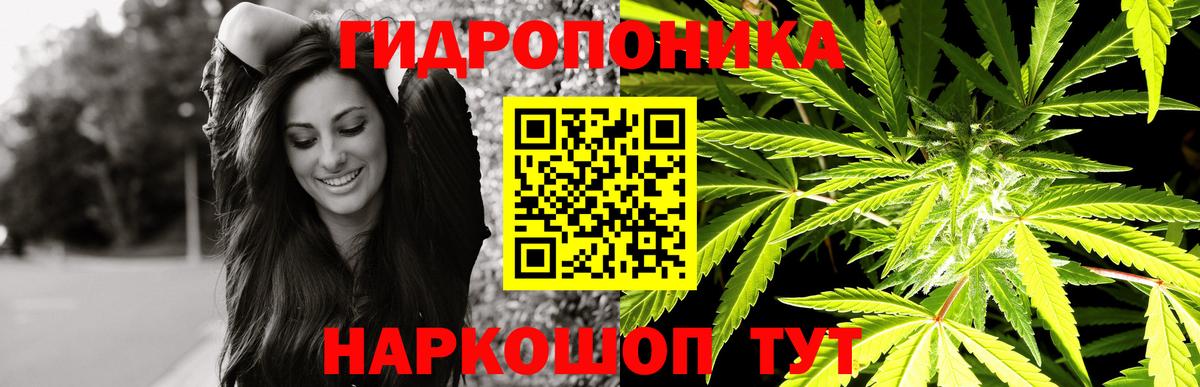 Марихуана Amnesia Балахна